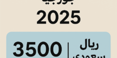 تكلفة السفر إلى جورجيا بالريال السعودي 2025